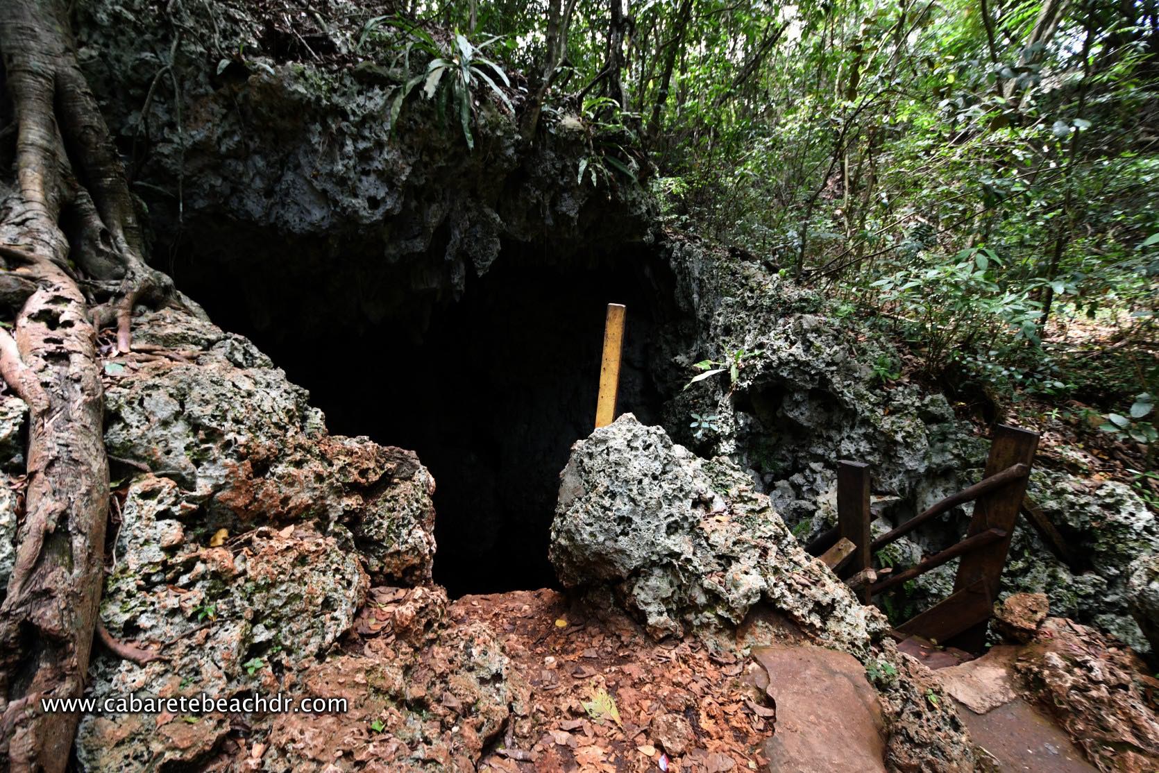 Entrance to the frog cave