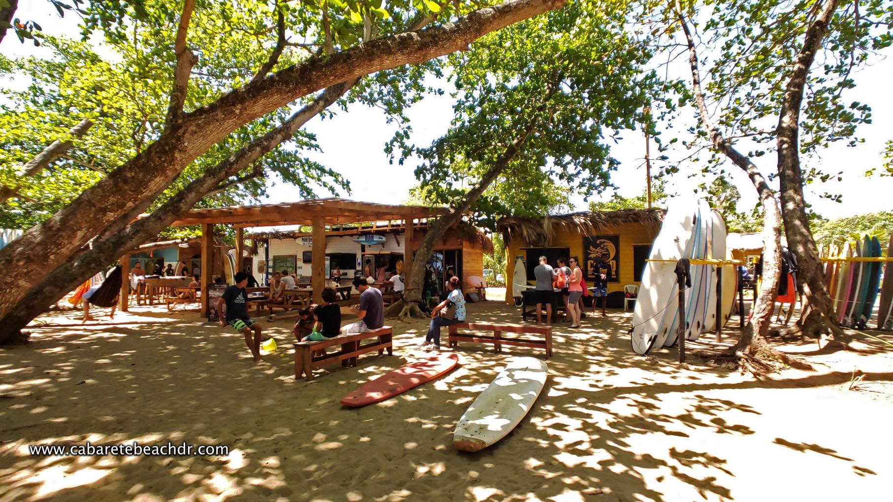 The new schools line up the beach